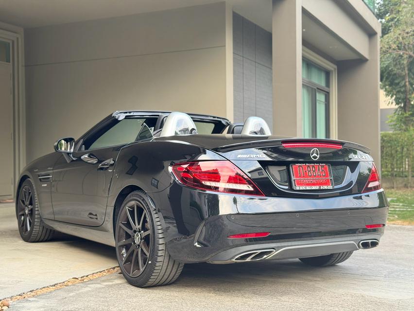 Slc43  AMG 7