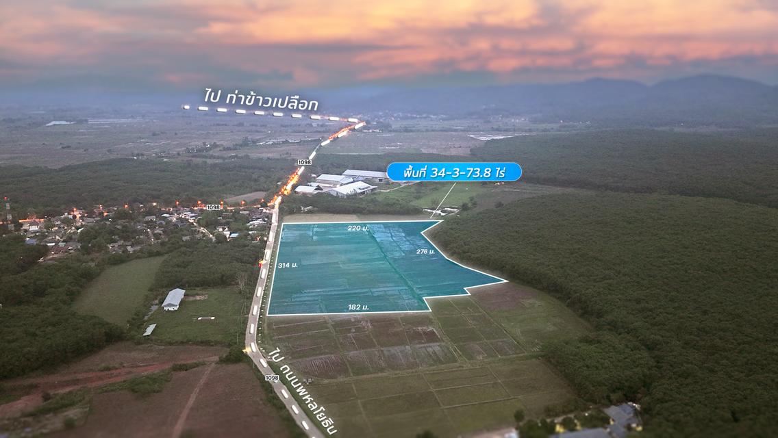 ที่นาผืนใหญ่ 34 ไร่เศษ อ.แม่จัน จ.เชียงราย ใกล้ไร่ชาฉุยฟง ทำเลดี วิวสวย เหมาะแก่การลงทุน 8
