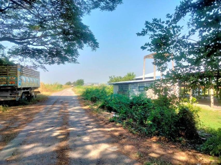 ให้เช่าพื้นที่เป็นอาคารเปิดโล่ง 250 ตร.ม. พร้อมบ้านเดี่ยว 1 หลัง อยู่ท่ามกลางสวนไร่นา บรรยากาศดีมาก ตำบลดอนพุด สระบุรี 8