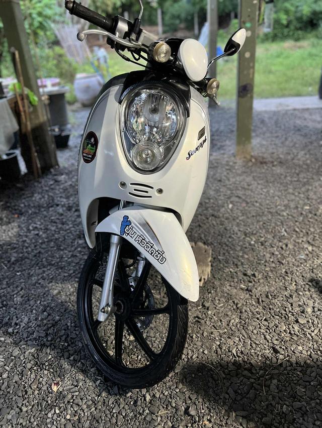 Honda Scoopy i