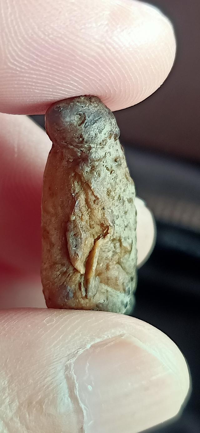 สาริกา หลวงพ่อสนิท วัดลำบัวลอย 5