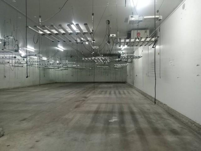 เช่าและขายโกดังห้องเย็น ติดถนนสายหลัก เชียงใหม่–หางดง ตำบลน้ำแพร่ อำเภอหางดง จังหวัดเชียงใหม่ 4