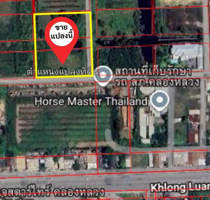 ที่ดินถมแล้ว1-4ไร่แบ่งขาย(80×80ม.)ติดถนน10ม.2ด้านห่างถนน6เลน200ม..รังสิตเลคแลนด์ ถนนคลองหลวง คลองสี่ ปทุมธานี 8,000.-/ตรว.ถูกเท่าประเมิน 081-402-4145 5