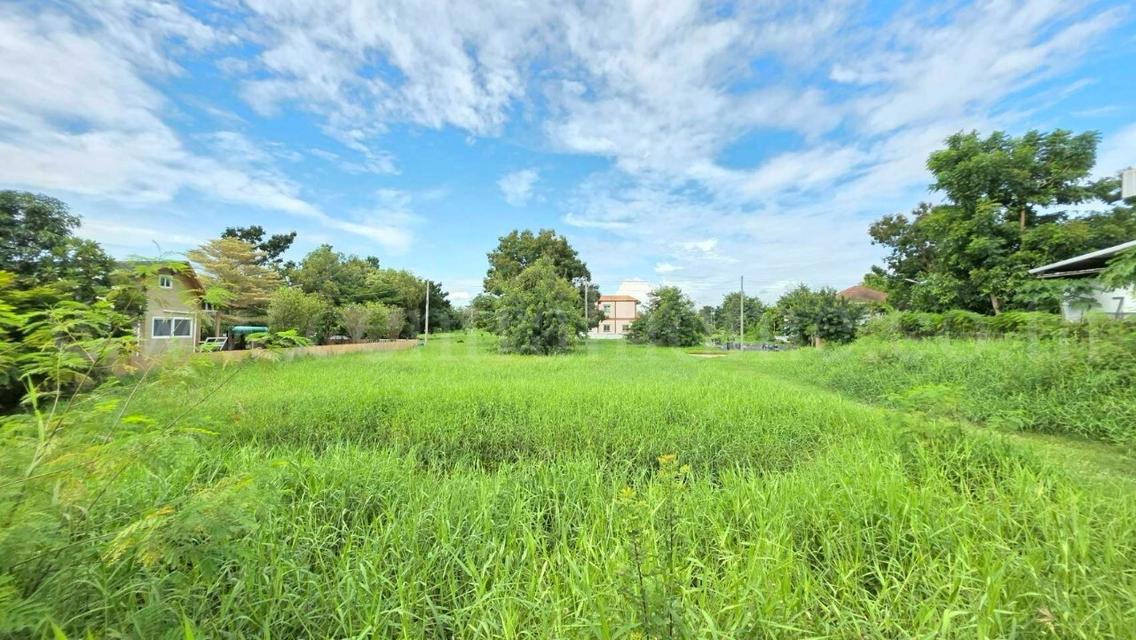 ที่ดินเปล่า 98 ตร.วา ต้นโครงการ เดอะลากูน 1-2 สามโคก ปทุมธานี  6