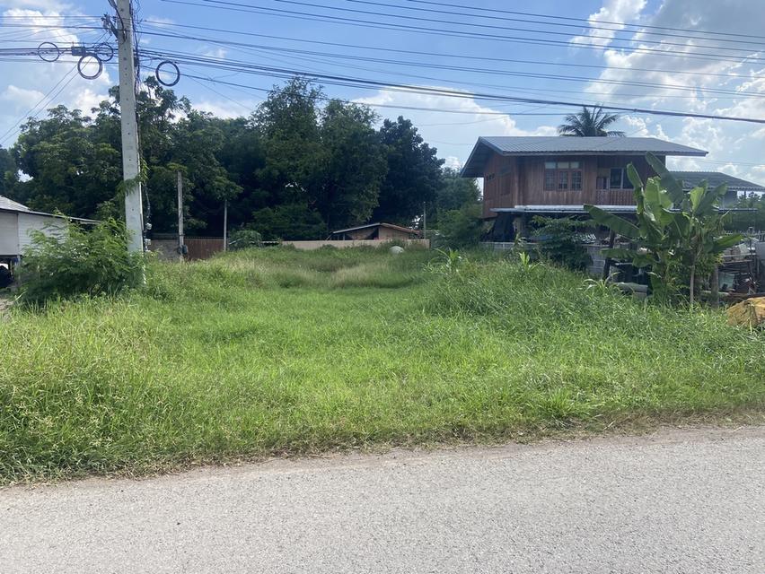 ที่ดินเปล่า 130 ตารางวา ติดถนนสายหลัก ถมดิน วางท่อ พร้อมปลูกสร้างได้ทันที่ เจ้าของขายเอง 2