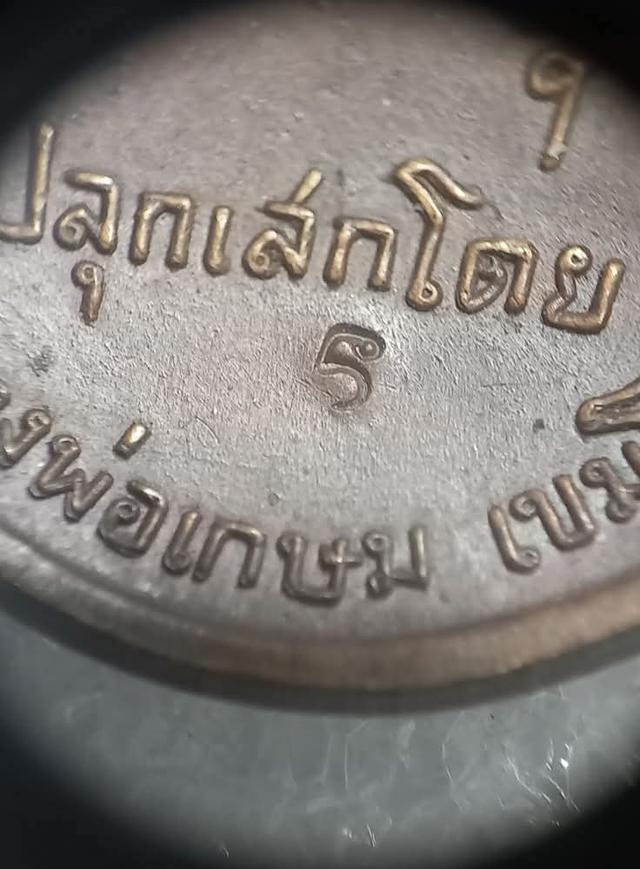 เหรียญพระมหาป่าวัดไหล่หิน