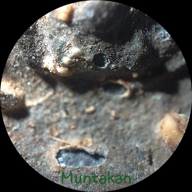 พระนางกวักกรุวัดนกจังหวัดอ่างทอง รูปที่ 6