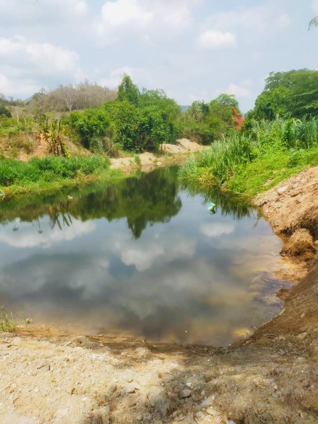 ขายที่ดิน ป่าละอู ห้วยสัตว์ใหญ่ หัวหิน สวนทุเรียน ยางพารา 22 ไร่เศษ พร้อมบ้าน 1 หลัง 11