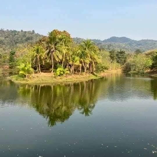 ขายที่ดินทองผาภูมิกาญจนบุรี