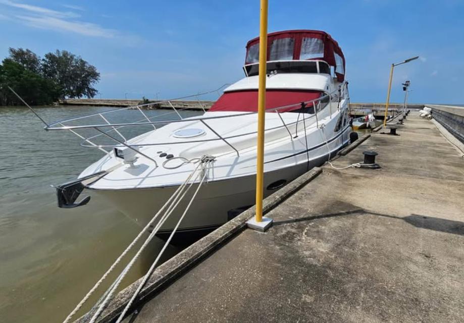 ขายด่วน LUXURY YACHT FOR SALE: SILVERTON 38FT 2009