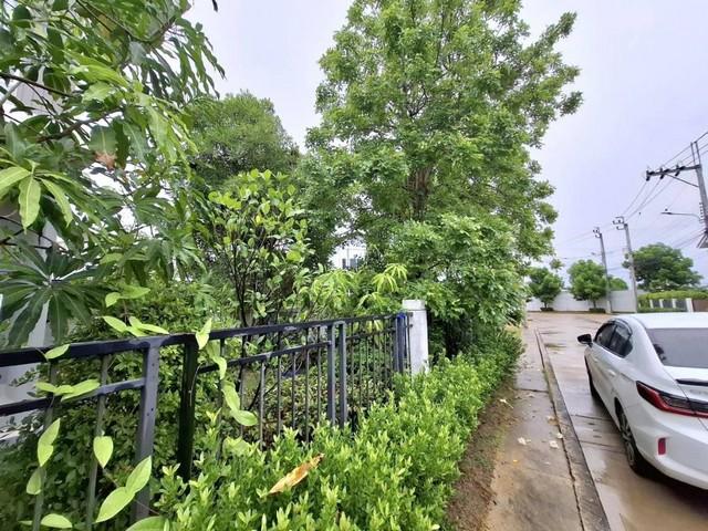 บ้านเดี่ยว 2 ชั้นให้เช่า แปลงมุม 56ตรว. ถนนชัยพฤกษ์-แจ้งวัฒนะ ใกล้ห้าแยกปากเกร็ด 2