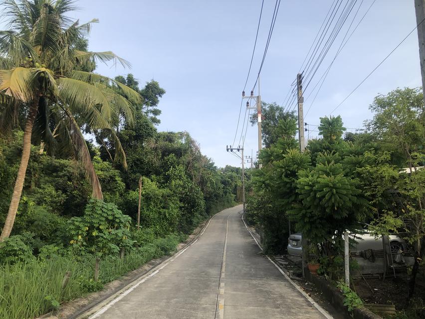 ขายที่ดินเชิงเขา ซอยหอดูดาวเฉลิมพระเกียรติสงขลา 3