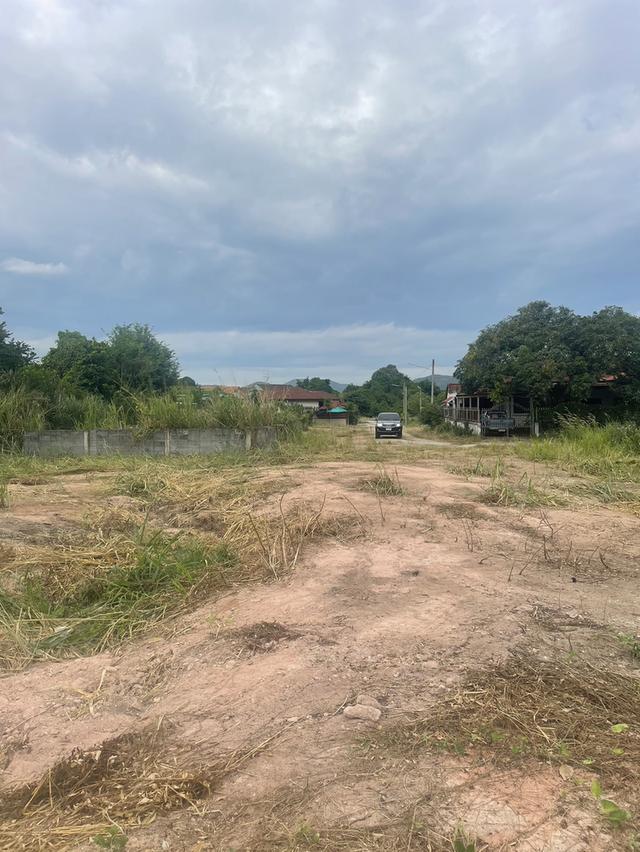 ขายที่ดินเปล่า อ.สัตหีบ ชลบุรี 5