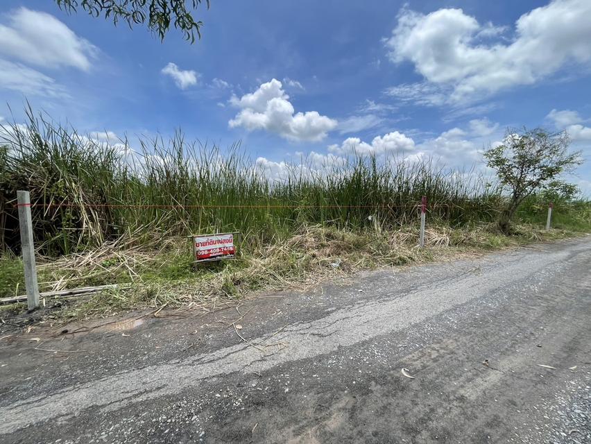 ที่ดินแปลงหนองเสือ คลอง 10  5