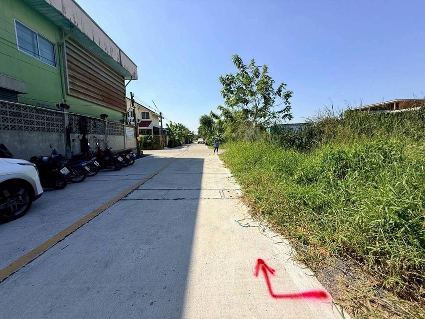 Vายด่วน ที่ดินใกล้มอเตอร์เวย์ 80 ตารางวา แปลงมุม ติดถนนคอนกรีตสาธารณะ ซอยคลองสี่ 6 อ.คลองหลวง จ.ปทุมธานี 6