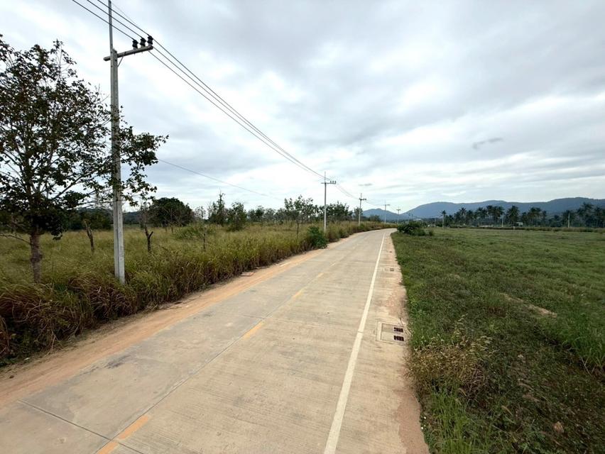 ขาย ที่ดิน ME397 แปลงใหญ่ ผัง EEC สีม่วงลาย เขาคันทรง ศรีราชา ชลบุรี ขนาด 151 ไร่ 3 งาน 49 ตรว ใกล้ ท่าเรือแหลมฉบัง ถนน 2