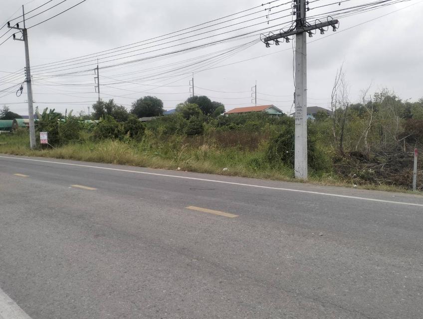 ขายที่ดิน1ไร่ถนนเชียงรากน้อย อ.บางปะอิน จ.พระนครศรีอยุธยา 3