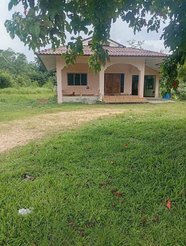 บ้าน พร้อมที่ดินสวย ทำเลดี วิวธรรมชาติ 3