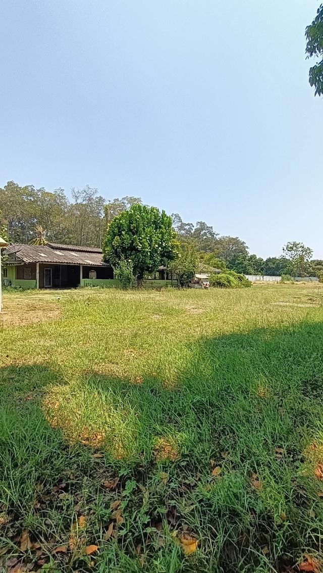 บ้านพร้อมที่ดิน อ.บ้านโป่ง จ.ราชบุรี 9