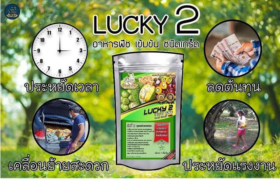 ลักกี้ LUCKY2 2