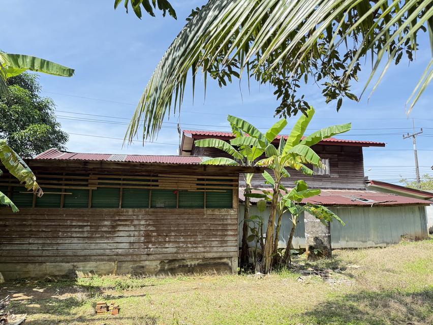 ขายบ้านนราธิวาส บ้านเดี่ยวครึ่งปูนครึ่งไม้ 10