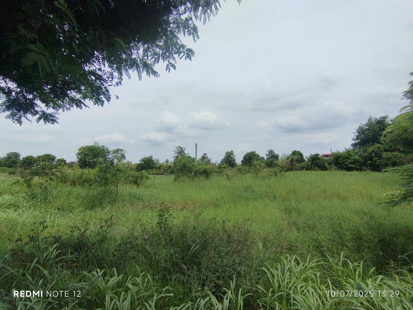 🌿ขายที่ดิน9ไร่กว่า วิวแม่น้ำบางปะกง ต.หัวไทร อ.บางคล้า เหมาะลงทุน-พัฒนาธุรกิจเชิงนิเวศหลายรูปแบบ 5