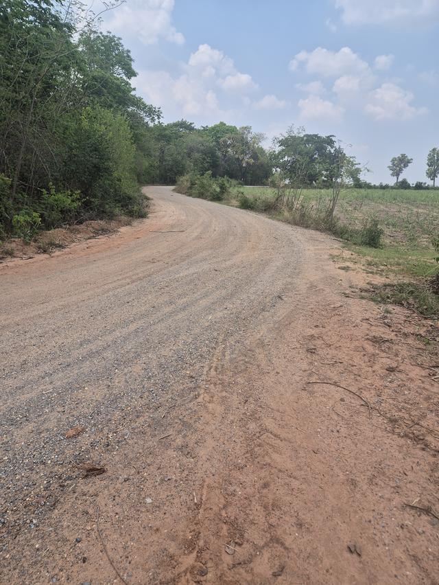 ขายที่ดิน 83 ไร่ ไร่ละ150,000 บาทต.พังเทียม อ.พระทองคำ จ.นครราชสีมา ที่ดินแปลงใหญ่ ทำเลดี เหมาะทำเกษตร รีสอร์ต หรือเก็งกำไรในอนาคต ✅ สามารถแบ่งขายได้ 8