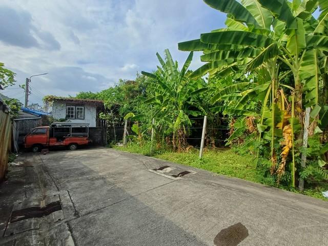 ขายที่ดินเปล่า 416 ตร.ว. (1 ไร่) ถมแล้ว ซอยนาคนิวาส 21 ถนนกว้าง น้ำไม่ท่วม 7