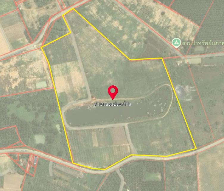 ขายที่ดินบ่อกวางทอง 81 ไร่ ติดถนน2ด้าน ใกล้ถนนเส้น3340-2กม. อ.บ่อทอง จ.ชลบุรี 3