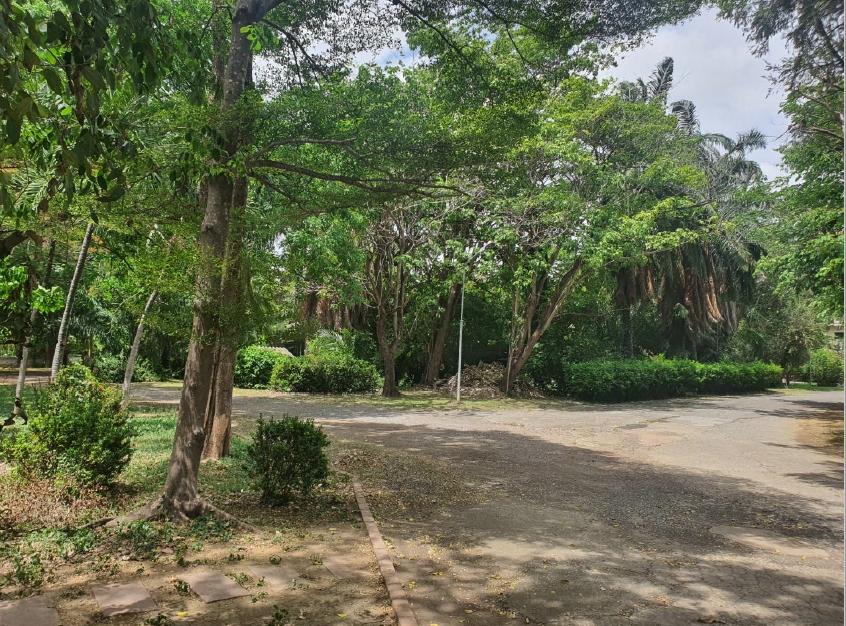 ที่ดินโรงงานและบ้านผู้บริหารหรู โรงงานพร้อมใบอนุญาต บ้านพักคนงาน โรงอาหาร ที่จอดรถ ป้อมยาม เนื้อที่ 9 ไร่  นครหลวง อยุธยา 35 ล้าน จาก 45 ล้าน 16