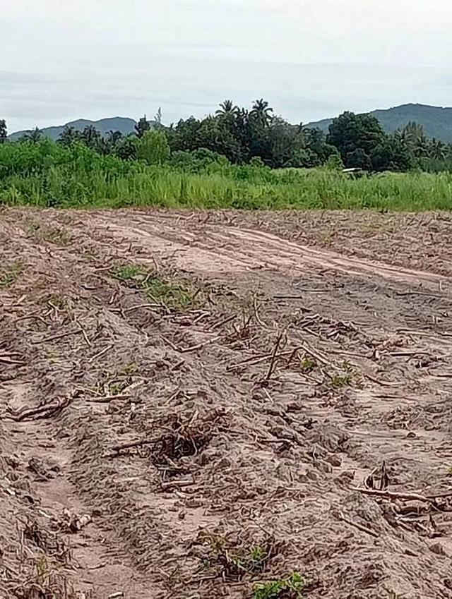 ที่ดินเพชาบุรีเกือบ​ 6 ไร่ฟรีค่าโอน 3