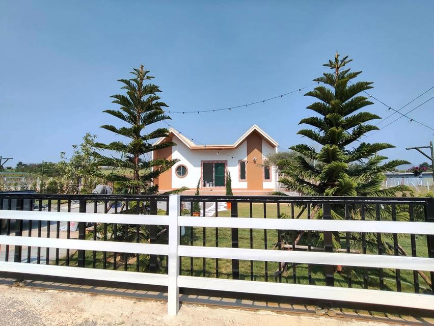 บ้านสวน สไตล์มินิมอล จ.ราชบุรี 6