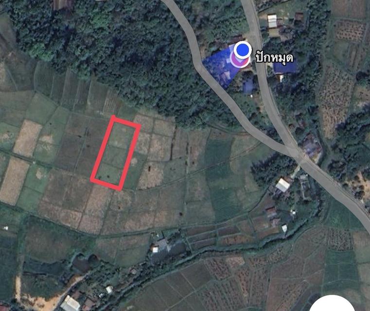 ที่ดิน(ที่นามีโฉนดครุฑแดง) 6