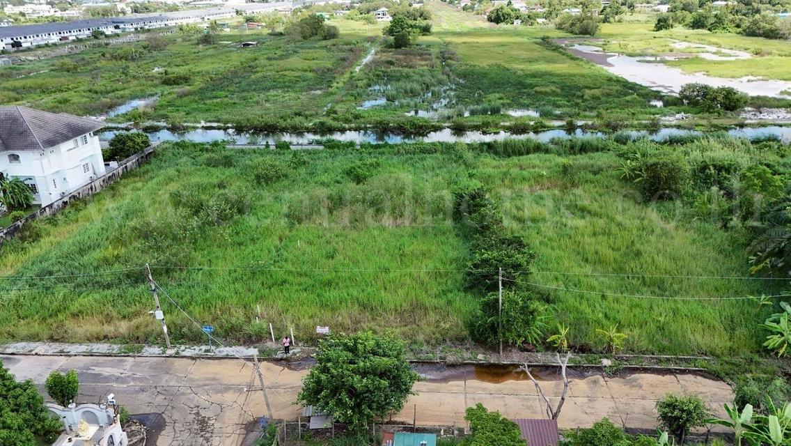 ที่ดิน 316 ตร.วา ถมแล้ว หมู่บ้านกฤษดานคร 19 - คลองหลวง 1