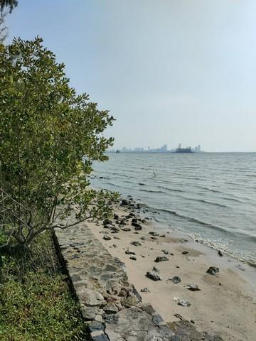 ขายที่ดินแปลงสวยเป็นชายหาดส่วนตัว ติดทะเลพัทยา (หาดกระทิงลาย) พร้อมที่ดินงอก ชลบุรี 4