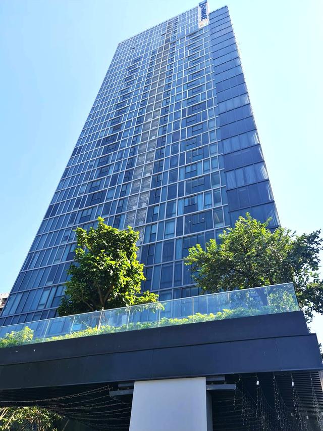 ไซมิส เอ๊กซ์คลูวีฟ ควีนส์ 19