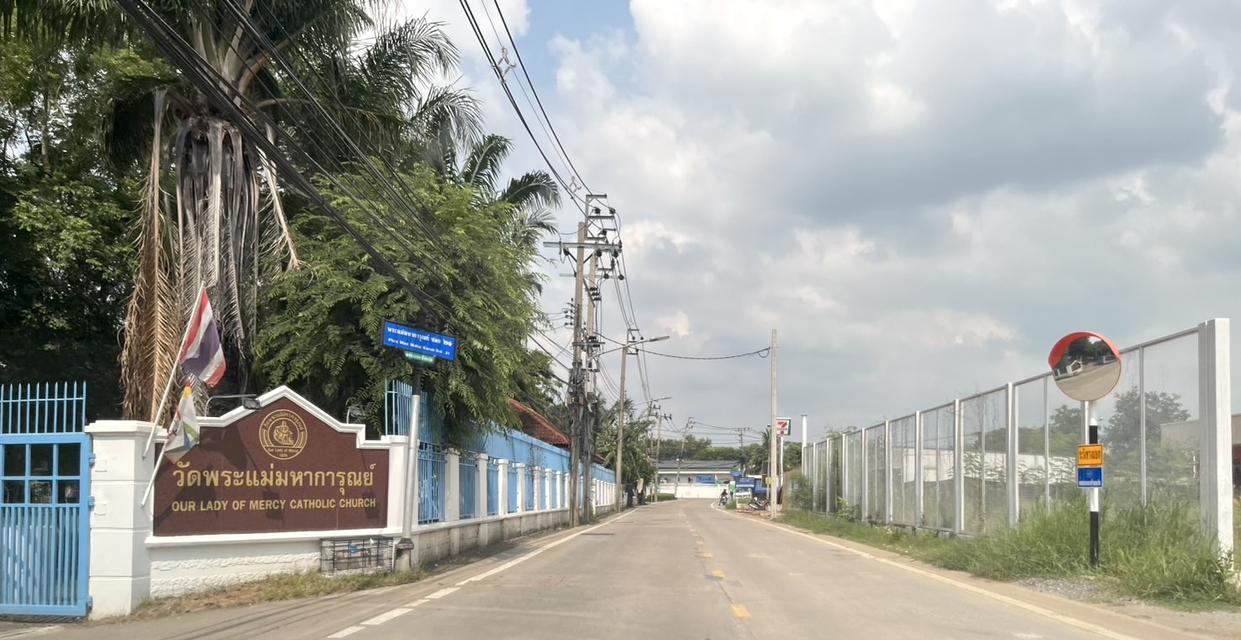 ขายที่ดิน 1 ไร่ ถนนติวานนท์ - ปากเกร็ด ซอย 56 ( ซอยพระแม่มหาการุณย์ 27 ) ปากเกร็ด นนทบุรี 098 7755 808 4