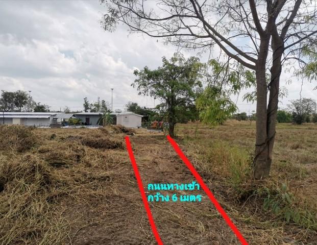 ให้เช่าที่ดินนาป่าชลบุรี ให้เช่าเหมาที่ดินใกล้มอเตอร์เวย์เนื้อที่ 2 ไร่ นาป่า เมืองชลบุรี ที่ดินเหมาะทำการเกษตร แคมป์คนง 3