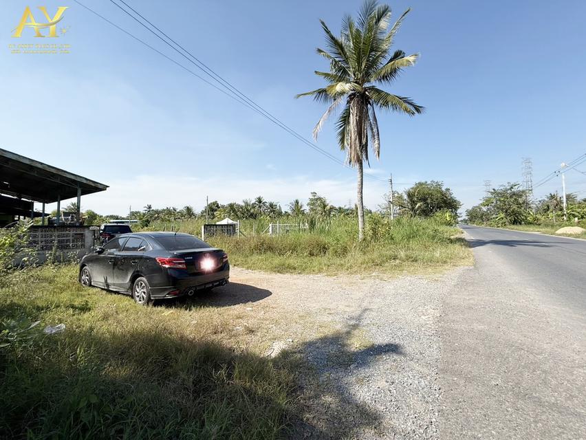 ขายที่ดิน ติดถนนทับยาว 765ตรว.พร้อมสิ่งปลูกสร้าง 4