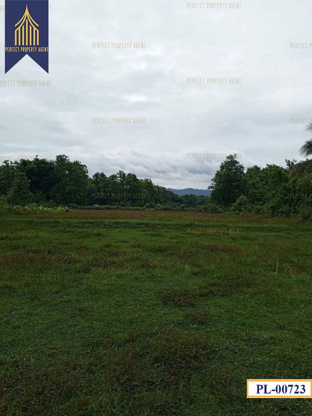 ที่ดิน อำเภอ เถิน จังหวัด ลำปาง 35 ไร่ติดถนนสายเอเชียและแม่น้ำวังพัฒนา 7