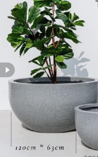 อ่างปลาขนาดใหญ่มาก อ่างปลาขนาดใหญ่ กระถางขนาดใหญ่ อ่าง3ฟุต