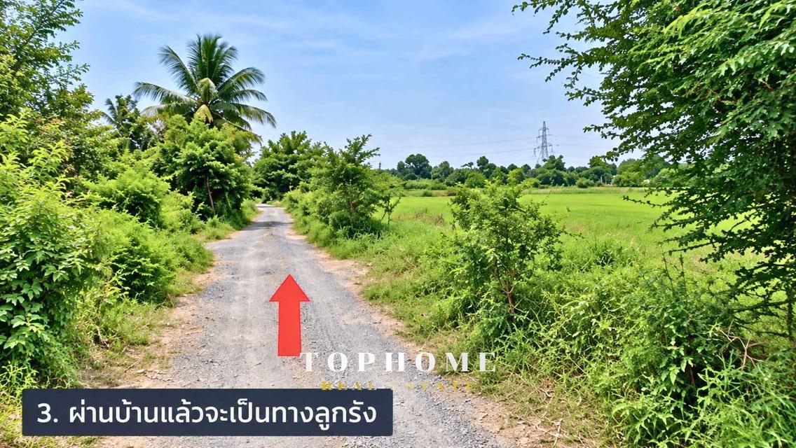 ขายด่วน! ที่ดินเปล่า ซอยแบนชะโด 2 ✨ที่ดินถมแล้ว 📍เขตคลองสามวา กรุงเทพมหานคร 4