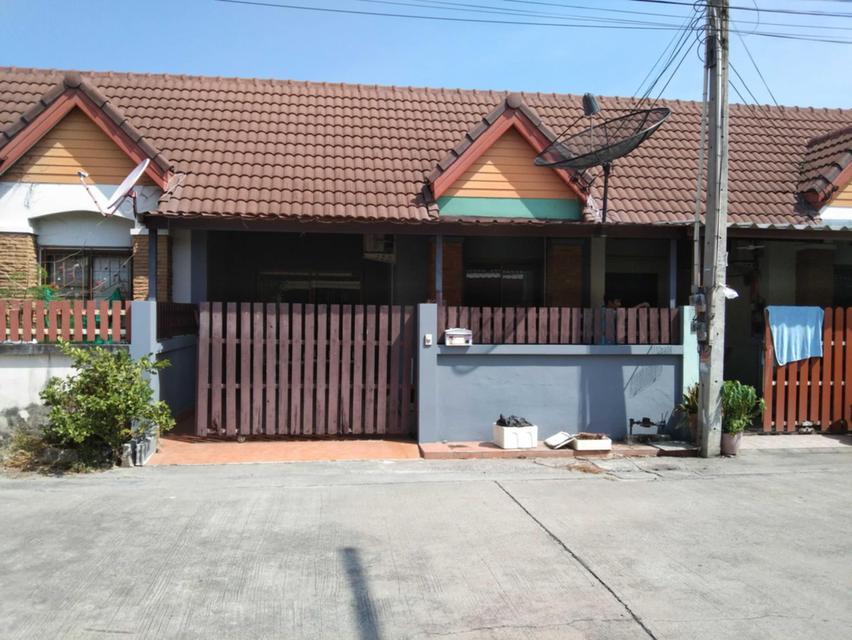 ทาวเฮ้าส์ชั้นเดียว 21 ตรว. หมู่บ้านโชติกา ซอย 5 ต.หนองกะขะ อ.พานทอง จ.ชลบุรี 1