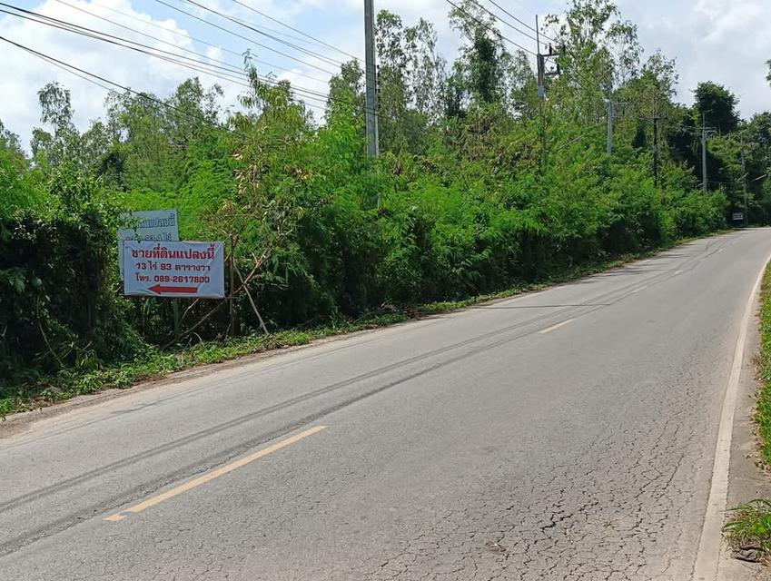 ขายที่ดิน
