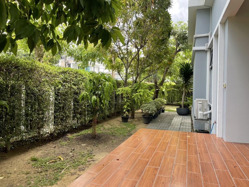 ขายบ้านเดี่ยว 2 ชั้น หมู่บ้านNC Royal Pinklao 103 ตร.วา พร้อมอยู่ ซอยทวีวัฒนา - กาญจนาภิเษก 15 พุทธมณฑลสาย 2 ใกล้The Mall บางแค 2