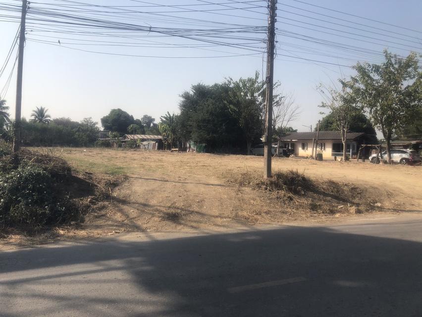 ขายที่ดินเปล่า 3 งาน 3ตรว 5