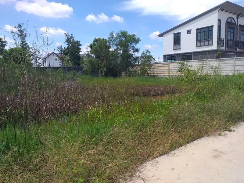 ขายที่โฉนด จำนวน 1 งาน 92 ตรว ที่ดินสี่เหลี่ยมสวย รังสิต ปทุมธานี 9