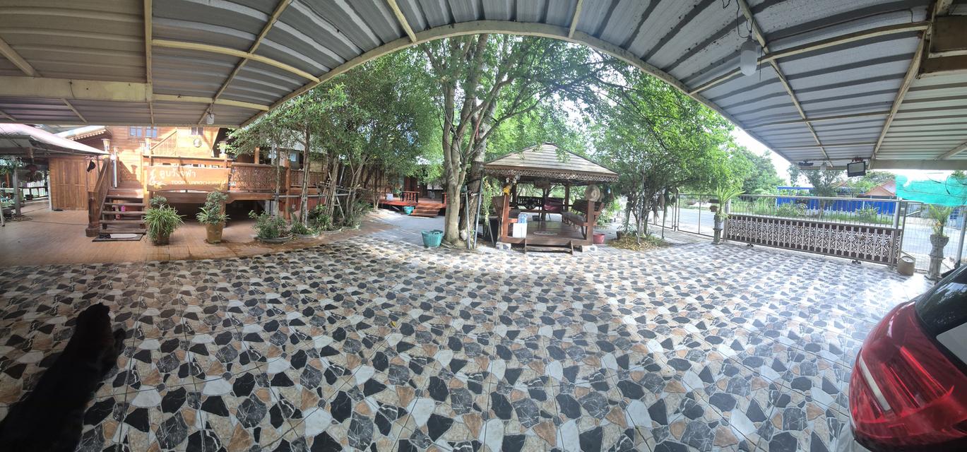 บ้านเดี่ยวพร้อมที่ดินร่มรื่นเป็นธรรมชาติ 2