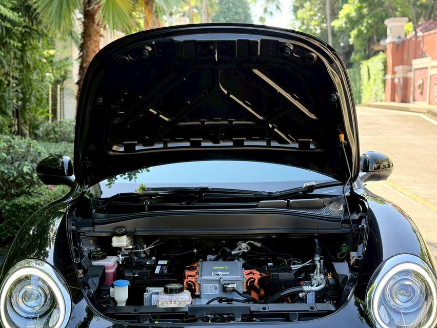 Ora Good Cat Pro ปี22 19