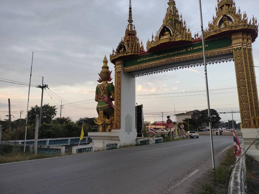 ขายที่ดินสวย 1-3-93 ไร่ ทำเลดี ติดถนนใหญ่ เสนา บางบาล ใกล้ตัวเมืองจังหวัดพระนครศรีอยุธยา 2